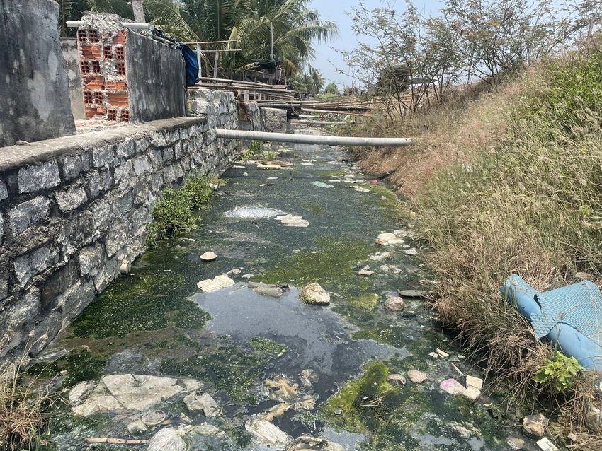 ô nhiễm