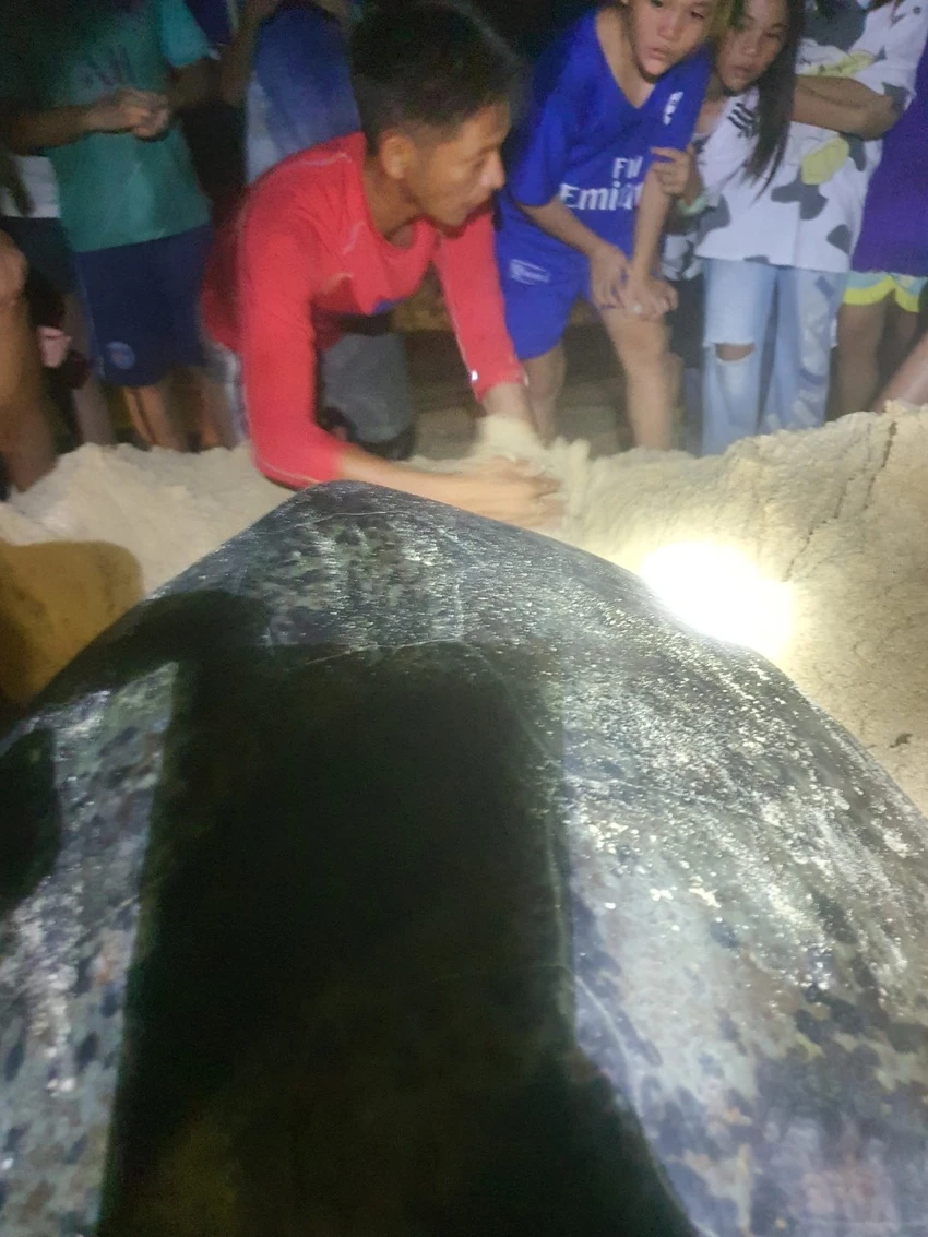 biển Nhơn Hải