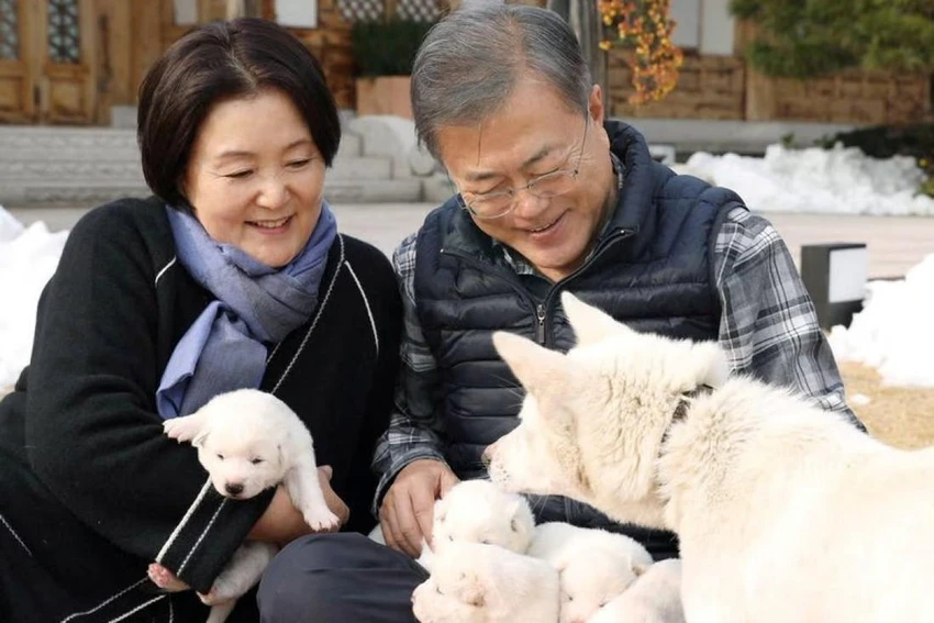 Cựu Tổng thống Hàn Quốc Moon Jae-in và phu nhân đang ôm những chú chó con được sinh ra bởi cặp chó mà nhà lãnh đạo Triều Tiên Kim Jong-un tặng ông năm 2018. Ảnh: VĂN PHÒNG TỔNG THỐNG HÀN QUỐC Cựu Tổng thống Hàn Quốc Moon Jae-in và phu nhân đang ôm những chú chó con được sinh ra bởi cặp chó mà nhà lãnh đạo Triều Tiên Kim Jong-un tặng ông năm 2018. Ảnh: VĂN PHÒNG TỔNG THỐNG HÀN QUỐC