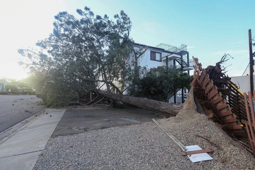 Gió mạnh làm ngã cây ở bang California (Mỹ) ngày 22-2. Ảnh: REUTERS Gió mạnh làm ngã cây ở bang California (Mỹ) ngày 22-2. Ảnh: REUTERS