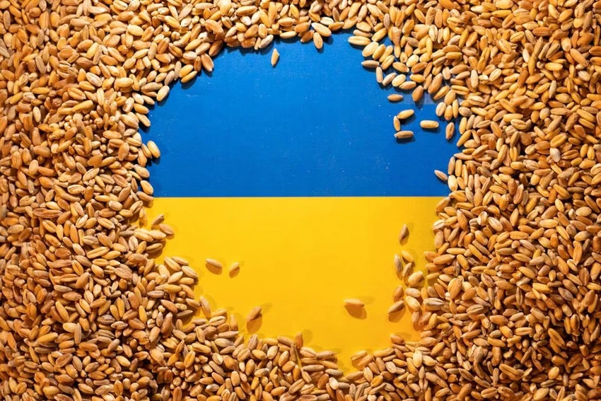 Slovakia trở thành thành viên thứ 3 của Liên minh Châu Âu (EU) cấm nhập khẩu lương thực từ Ukraine. Ảnh: REUTERS Slovakia trở thành thành viên thứ 3 của Liên minh Châu Âu (EU) cấm nhập khẩu lương thực từ Ukraine. Ảnh: REUTERS