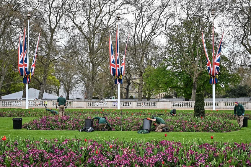 Công nhân chuẩn bị Khu vườn Tưởng niệm ở trung tâm thủ đô London trước thềm Lễ đăng cơ của Vua Charles III. Ảnh: TIME Công nhân chuẩn bị Khu vườn Tưởng niệm ở trung tâm thủ đô London trước thềm Lễ đăng cơ của Vua Charles III. Ảnh: TIME