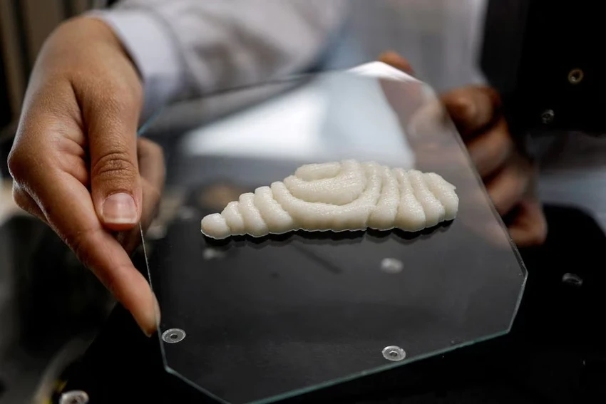 Phi lê cá được tạo ra bằng công nghệ in 3D. Ảnh: REUTERS Phi lê cá được tạo ra bằng công nghệ in 3D. Ảnh: REUTERS