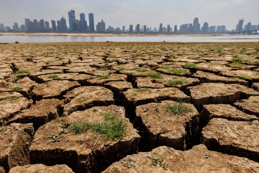 Thời tiết khắc nghiệt do El Niño gây ra có thể tác động lớn đến nông nghiệp Trung Quốc. Ảnh: REUTERS Thời tiết khắc nghiệt do El Niño gây ra có thể tác động lớn đến nông nghiệp Trung Quốc. Ảnh: REUTERS