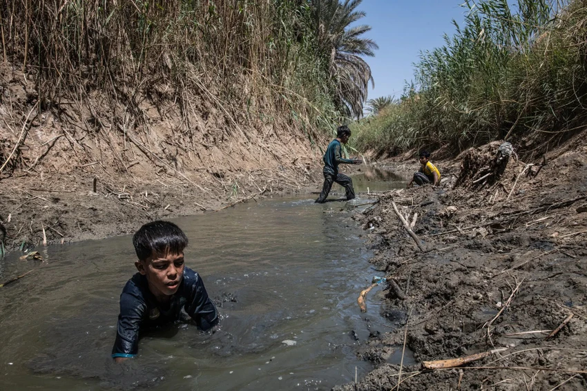 Các cậu bé tìm cá trong vùng nước nông, tù đọng của một con kênh thủy lợi ở Iraq. Ảnh: THE NEW YORK TIMES Các cậu bé tìm cá trong vùng nước nông, tù đọng của một con kênh thủy lợi ở Iraq. Ảnh: THE NEW YORK TIMES