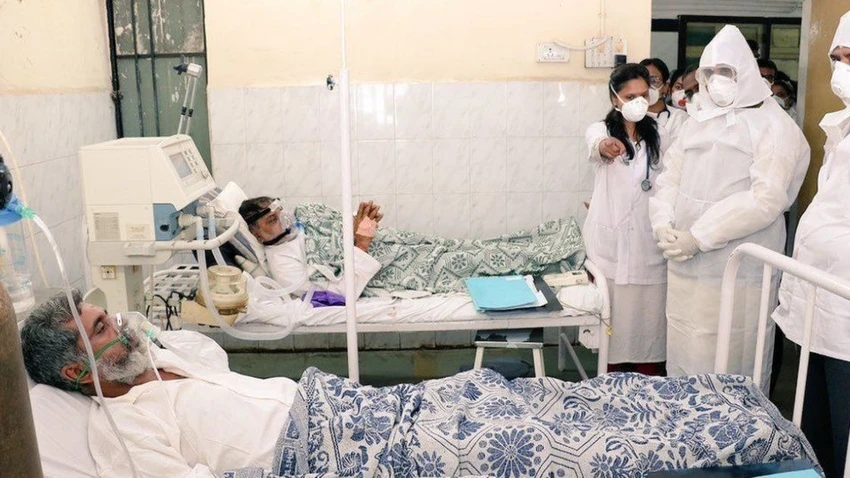 virus cúm lợn