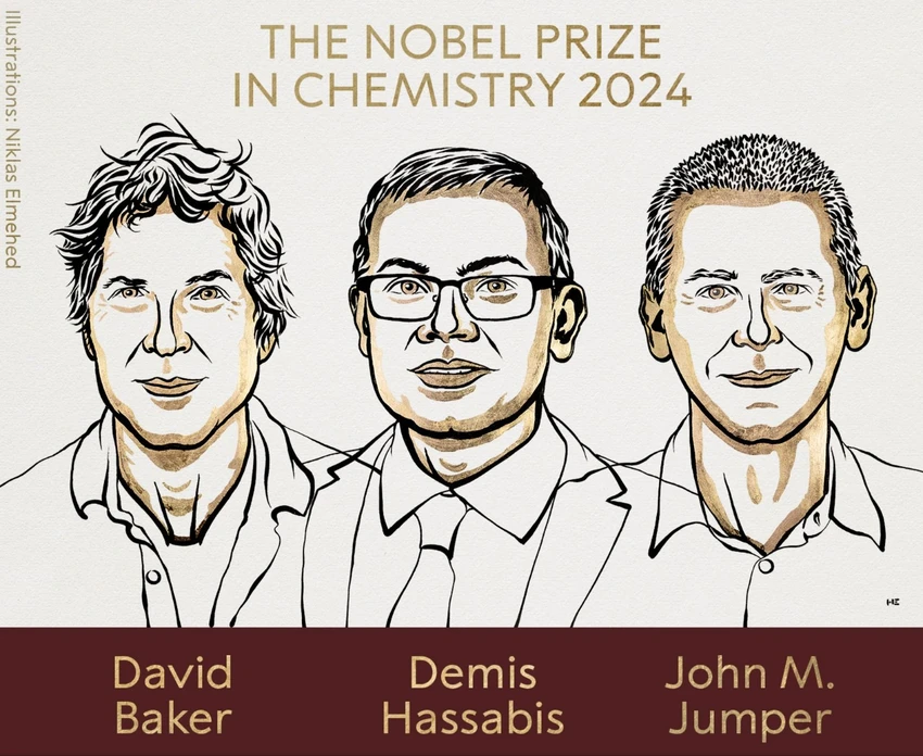 Nobel Hóa học 2024 gọi tên công trình nghiên cứu protein