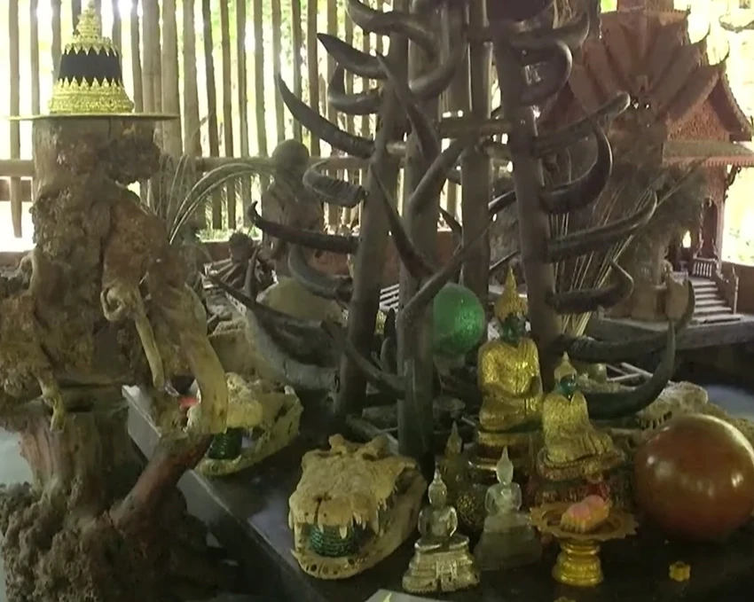 thai-lan-dieu-tra-mot-tu-vien-vi-su-dung-thi-the-de-thien-dinh (1).jpg