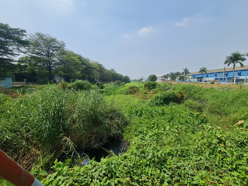 Nhiều đoạn kênh bị cỏ che phủ bít hết dòng chảy.