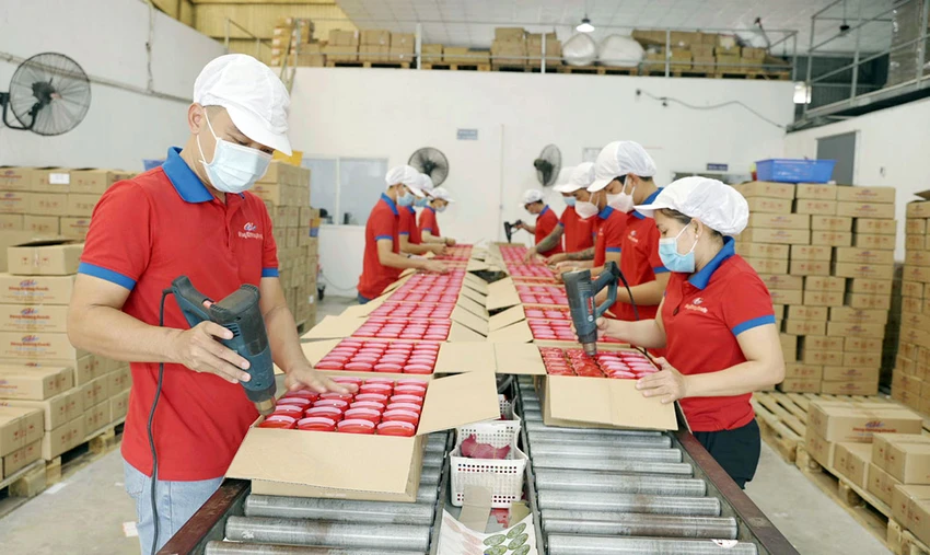 Chuyên gia cho rằng cần có những cải cách quyết liệt hơn về thể chế và chính sách để thúc đẩy kinh tế tư nhân bứt phá. Ảnh: QUANG HUY