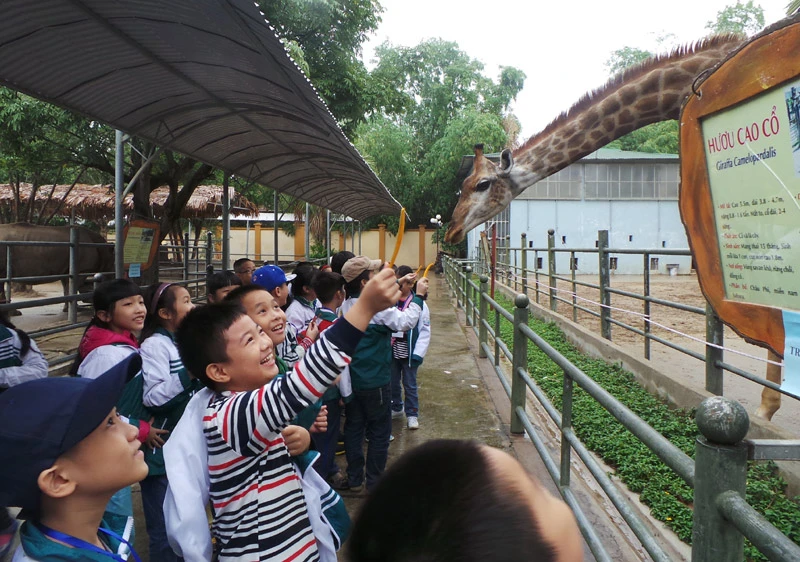 bài tập, nghỉ Tết, quên chữ, bố mẹ, không làm bài tập tết bài tập, nghỉ Tết, quên chữ, bố mẹ, không làm bài tập tết