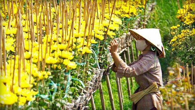 Dự báo thời tiết 10 ngày nghỉ Tết trên cả nước ảnh 1