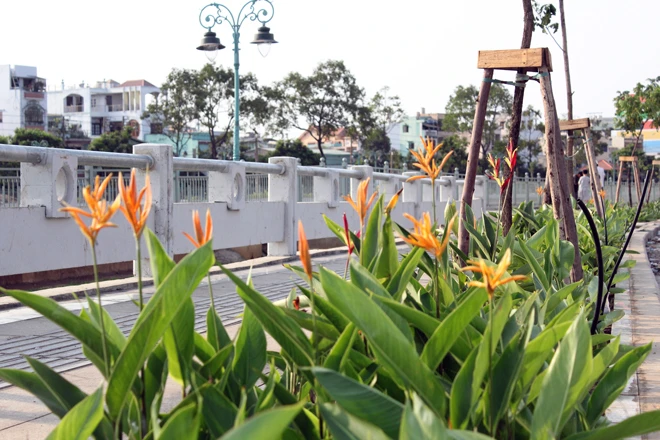 Kênh ô nhiễm nhất TP HCM sắp được cải tạo xong ảnh 2 Kênh ô nhiễm nhất TP HCM sắp được cải tạo xong ảnh 2