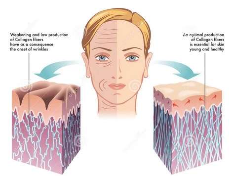Bổ sung collagen cách nào hiệu quả nhất? ảnh 4