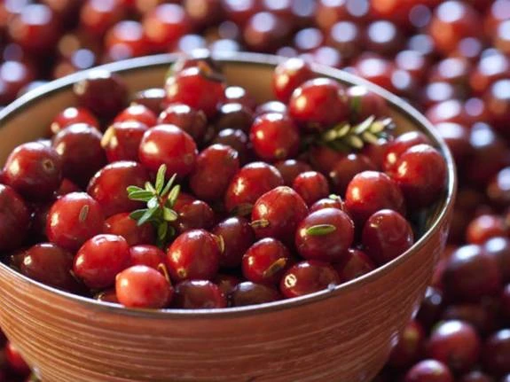 Để ‘cô bé’ luôn khỏe mạnh ảnh 3