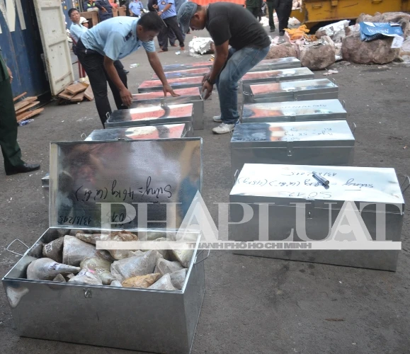 Hơn 735 kg ngà voi và sừng tê giác ‘sa lưới’ ở cảng miền Trung ảnh 3 Hơn 735 kg ngà voi và sừng tê giác ‘sa lưới’ ở cảng miền Trung ảnh 3