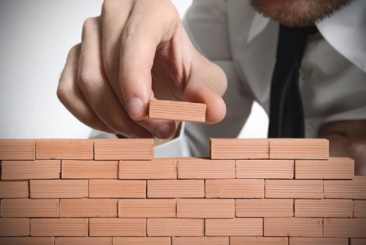Tôi đã mất tất cả vì bỏ trứng vào một giỏ ảnh 2