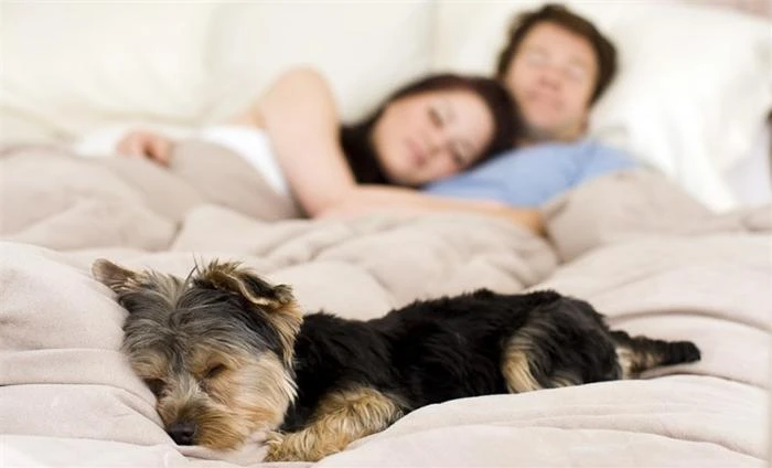 11 thói quen nhỏ đem hạnh phúc lớn cho bạn ảnh 4