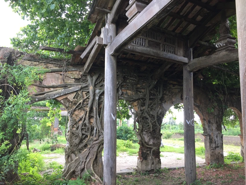 Người dân muốn giữ ngôi đình nằm trọn trong bộ rễ bồ đề ảnh 7 Người dân muốn giữ ngôi đình nằm trọn trong bộ rễ bồ đề ảnh 7
