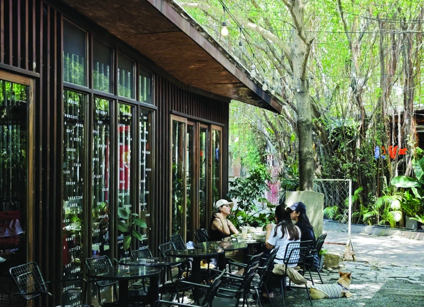 khu-pho-thu-vi.jpg