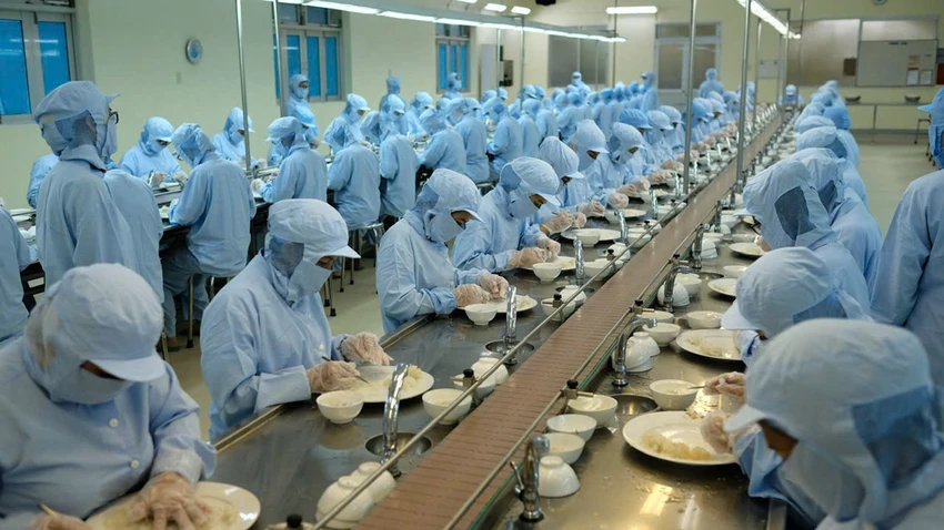 Công nhân chế biến yến sào tại nhà máy của Tổng Công ty Yến sào Khánh Hòa