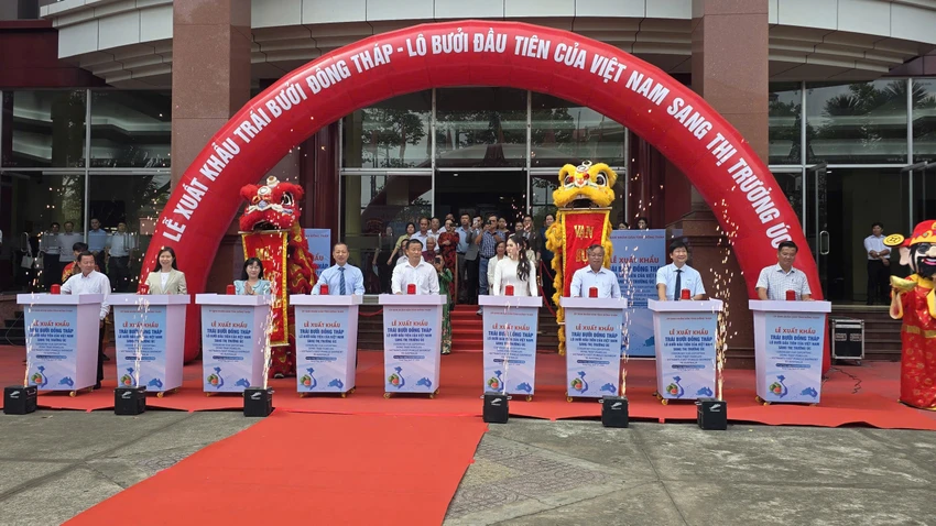 xuat-khau-buoi-uc-dong-thap-7669-7424.jpg