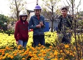Lá thư của người phụ nữ nghèo
