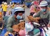 Lý, tình trong vụ tiêu hủy 13 chú chó ở Cà Mau