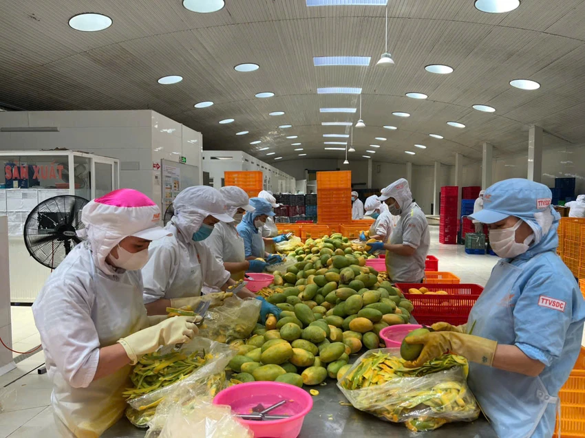 Hoàn thiện hệ thống pháp luật về đầu tư, kinh doanh, góp phần đưa môi trường đầu tư của Việt Nam vào nhóm 3 nước dẫn đầu ASEAN. Ảnh minh họa: LÊ THUẬN doanh nghiep vua va nho_xoai.jpeg