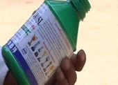 Thi thể 1 cô gái nằm cạnh chai thuốc diệt cỏ trên đồi thông