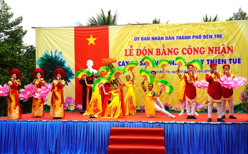 cây thiên tuế (2).JPG