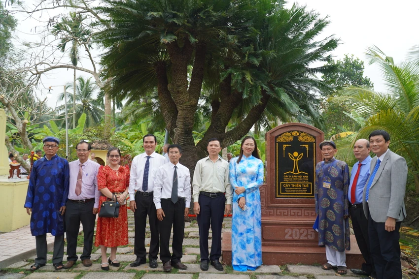 cây thiên tuế (7).JPG