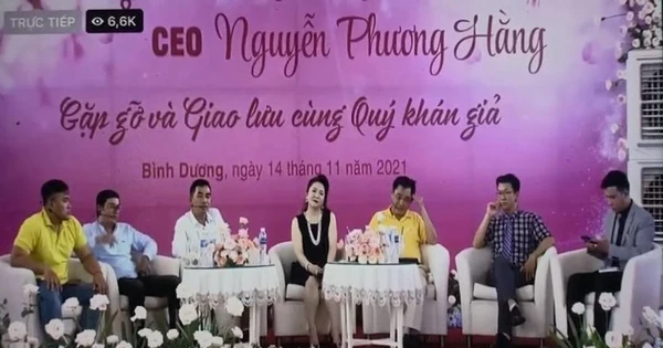 Bà Nguyễn Phương Hằng và ông Huỳnh Uy Dũng trong một buổi livestream. Ảnh chụp màn hình
