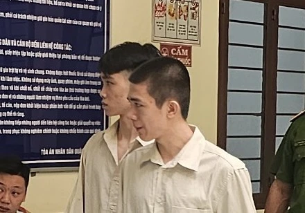 mang-binh-xit-hoi-cay.jpg
