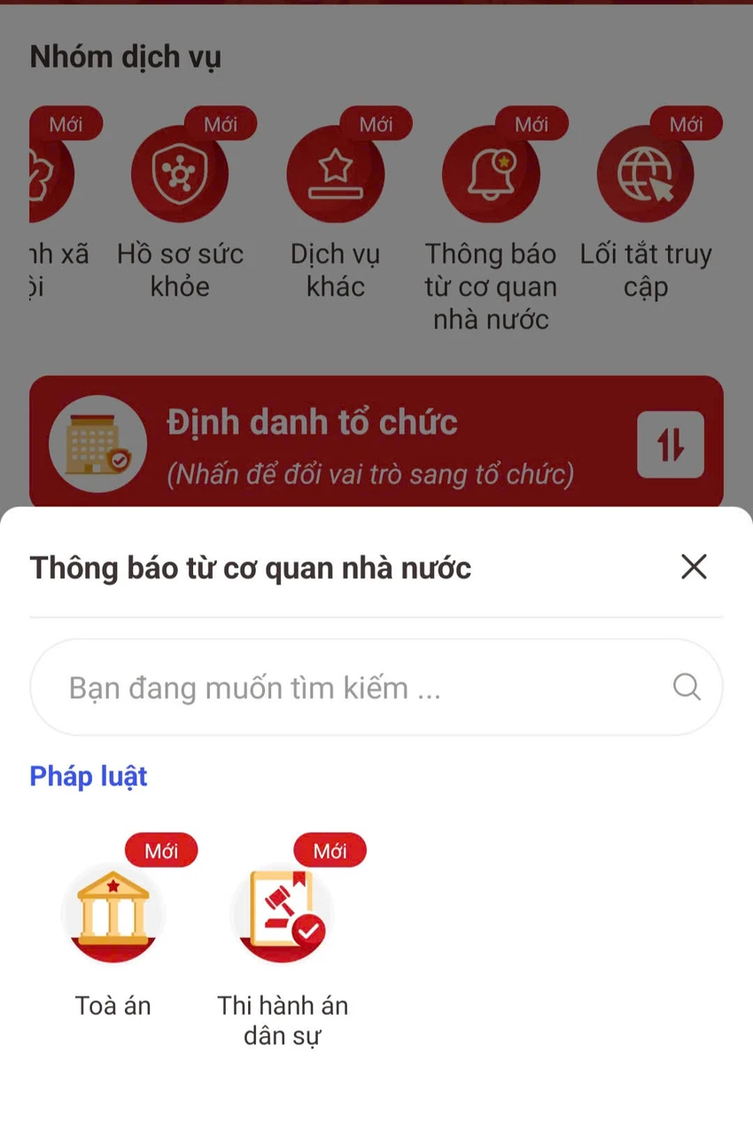 hi-hanh-an-dan-su-tp-hcm-thuc-hien-thong-bao-thads-qua-ung-dung-vneid-5.jpg