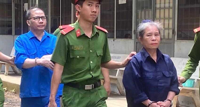 tu-gioi-thieu-la-luat-su-gioi-lua-gan-13-ti-dong-tien-gop-von-hoan-thien-giay-chung-nhan-.jpg