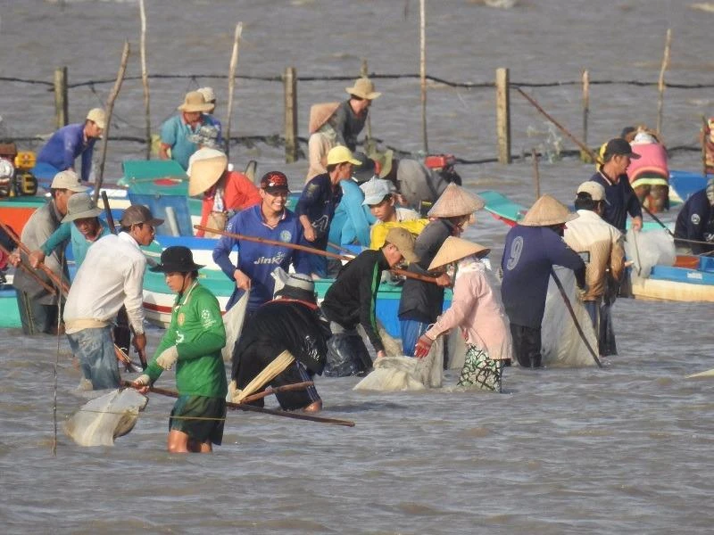 cào trộm nghêu