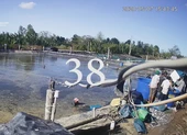 Công an dựng lại hiện trường vụ thương lái trộm tôm ở Cà Mau