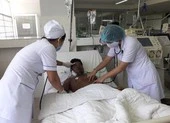 Bị ong vò vẽ đốt 50 mũi, người đàn ông nguy kịch