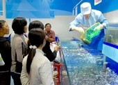 Cua Cà Mau đấu với... cua hoàng đế Mỹ
