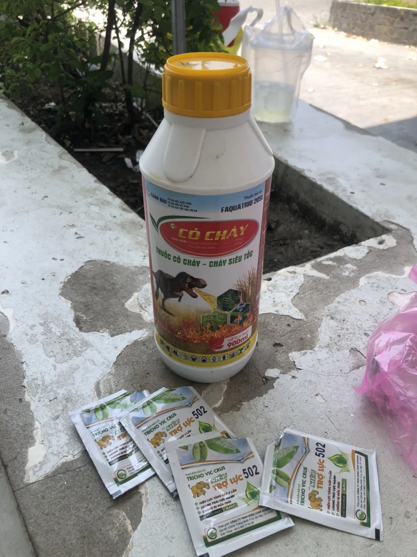Bị_cáo_uống_thuốc_tự_vẫn_4.jpg
