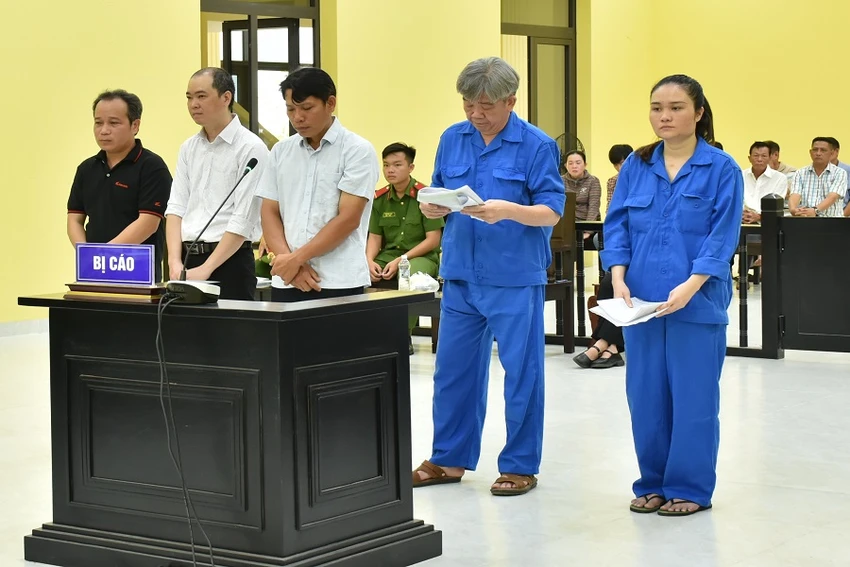 cựu giám đốc vườn quốc gia mũi cà mau
