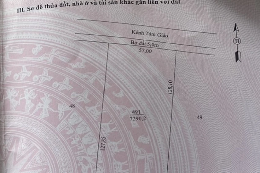 Xã Lý Văn Lâm sợ trách nhiệm 5.jpg